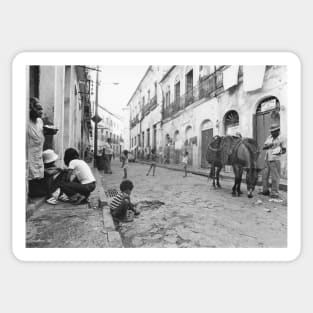 Vintage Photo of Salvador City Brazil Sticker